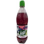 Jupí Sirup borůvka 0,7 l – Hledejceny.cz