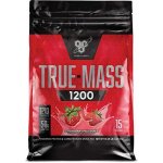 BSN True-Mass 1200 4650 g – Hledejceny.cz