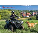 CFMOTO Gladiator X450 T3B – Hledejceny.cz