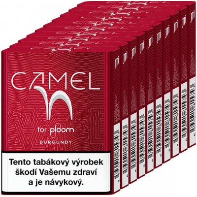 Camel Burgundy karton