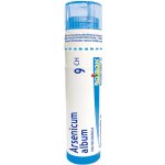 ARSENICUM ALBUM POR 9CH GRA 1X4G – Hledejceny.cz