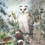 Ambiente Europe BV Ubrousek 33x33cm Sněžná sova 1ks – Zboží Mobilmania