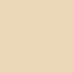 Fotokarton 50x70 cm, 300 g/m2 - chamois – Sleviste.cz