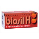 Naturvita Biosil H 60 tablet – Hledejceny.cz