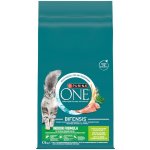 Purina ONE Bifensis Sensitive krůtí a rýže 9,75 kg – Hledejceny.cz