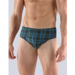 Gina slipy se širším bokem širší bok šité s potiskem 71094P – Zboží Dáma