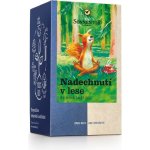 Sonnentor Nadechnutí v lese Bio 21,6 g – Hledejceny.cz