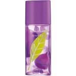 Elizabeth Arden Green Tea Lavender toaletní voda dámská 100 ml tester – Hledejceny.cz