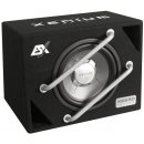 ESX Audio Xenium XE250