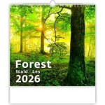 Helma nástěnný Forest/Wald/Les 30 × 30 cm 2026 – Zboží Mobilmania
