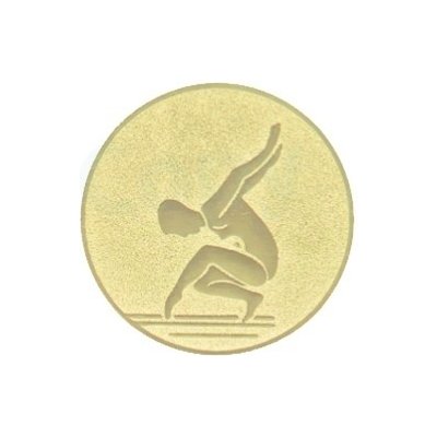 Kovový emblém GYMNASTIKA 024