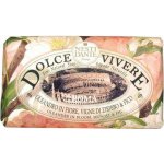 Nesti Dante Firenze Dolce Vivere mýdlo roma 250 g – Zboží Dáma