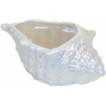Miska keramická mušle, bílá perleť, 8x19 cm – Hledejceny.cz