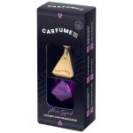 Carfume Alien Spirit Závěsný – Hledejceny.cz