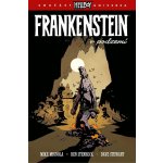 Frankenstein v podzemí - Mike Mignola – Hledejceny.cz