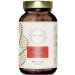 Puravia labs Přírodní železo a acerola 60 kapslí – Hledejceny.cz