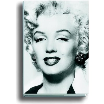 Silver Marilyn. Marilyn Monroe und die Kamera