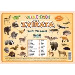Sada 24 karet - zvířata volně žijící A4 30x21 cm – Sleviste.cz