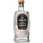 Radlík Bezinkovice 45% 0,5 l (holá láhev) – Zboží Dáma