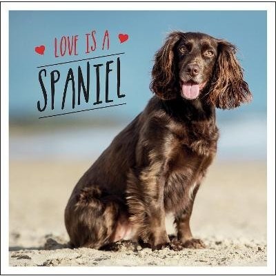 Love is a Spaniel - Charlie Ellis – Hledejceny.cz