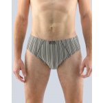 Gina pánské slipy se širším bokem širší bok šité 71112P – Sleviste.cz