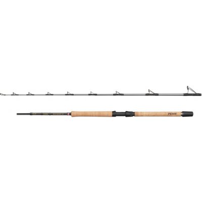 Penn Regiment IV Pro Boat 2,10 m 20-30 lb 2 Díly – Hledejceny.cz
