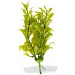 JK Animals Hygrophila 13-16 cm – Zboží Mobilmania