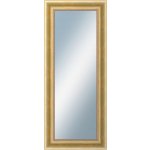 DANTIK KŘÍDLO 50 x 120 cm zlaté 2772 – Hledejceny.cz