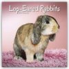 Kalendář Lop-eared Rabbits Widderkaninchen 16-Monats 2024