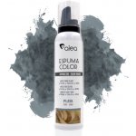 Alea Espuma Color barevná tužící pěna na vlasy STŘÍBRNÁ 150 ml – Zboží Dáma
