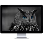 Natec Owl 24" 16:9 NFP-1478 – Zboží Živě