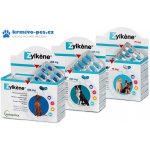 Vetoquinol Zylkene 450 mg pro velké psy od 15 kg do 60 kg 100 kapslí – Zboží Mobilmania