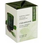 Bartek Candles Cedarwood 150 g – Hledejceny.cz