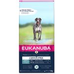 Eukanuba Adult Large & Giant Grain Free Ocean Fish 12 kg – Hledejceny.cz