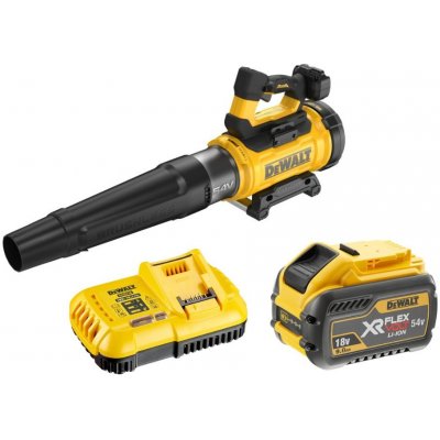 DeWalt DCMBL777X1 – Zboží Dáma
