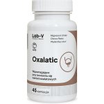 LAB-V Oxalatic Podpora pro kočky při tvorbě oxalátových kamenů 45 kapslí – Sleviste.cz