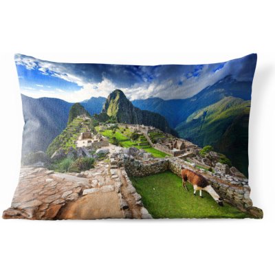 MuchoWow Vnější polštář Lama Machu Picchu Grass 60x40 – Zboží Mobilmania