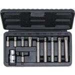 Bity XZN M5-M12 (30 a 75mm) 11ks – Hledejceny.cz