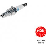 Zapalovací svíčka NGK 6955 – Zboží Mobilmania