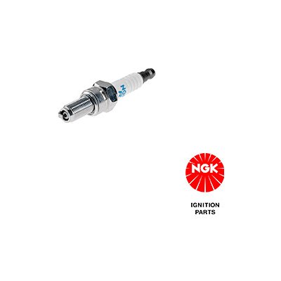 Zapalovací svíčka NGK 6955 – Zboží Mobilmania
