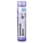 ARSENICUM ALBUM POR 30CH GRA 1X4G – Hledejceny.cz