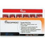 VDV RECIPROC Gutaperčové Čepy ISO025 60 ks – Hledejceny.cz