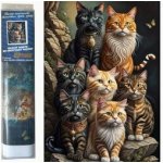 Norimpex Diamantový obrázek 7 koček 30 x 40 cm 2000897 – Sleviste.cz