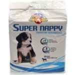 Canimici Návyková podložka SUPER NAPPY 60 x 60 cm 10 ks – Hledejceny.cz