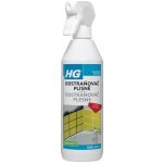 HG odstraňovač plísně 500 ml – Zboží Dáma