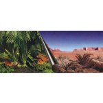 Europet Bernina Photo Decor Jungle + Dessert 80 x 40 cm – Zboží Mobilmania