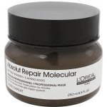 L'Oréal Expert Absolut Repair Gold Quinoa+Protein Golden Mask 250 ml – Zboží Mobilmania