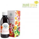 Bilegria INUMA bylinný sirup na podporu imunity s echinaceou a rakytníkem 200 ml – Hledejceny.cz