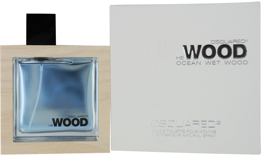 Dsquared2 He Wood Ocean Wet Wood toaletní voda pánská 100 ml