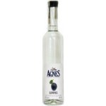 Agnes Slivovice 45% 0,5 l (holá láhev) – Zboží Dáma